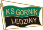 gornik_ledziny